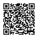 Saeid Safaei رسانه‌های هدایت‌پذیر (Guided Media)